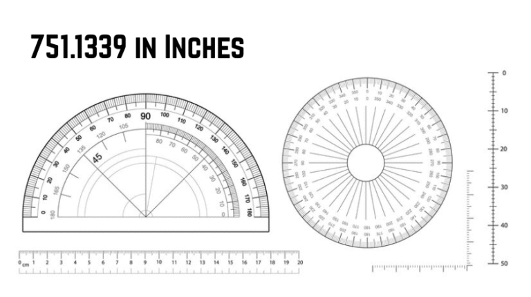 751.1339 in Inches